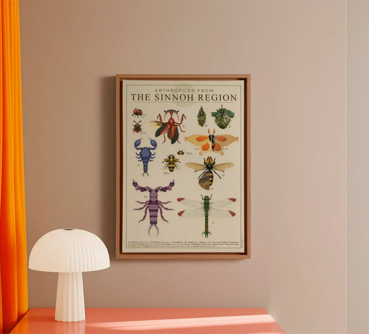 Artropodi di Sinnoh tela con Cornice a cassetta da Lacerdaprint
