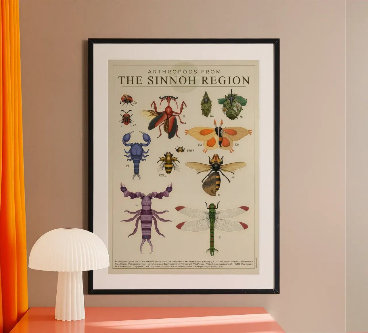 Artropodi di Sinnoh poster con telaio in plastica da Lacerdaprint
