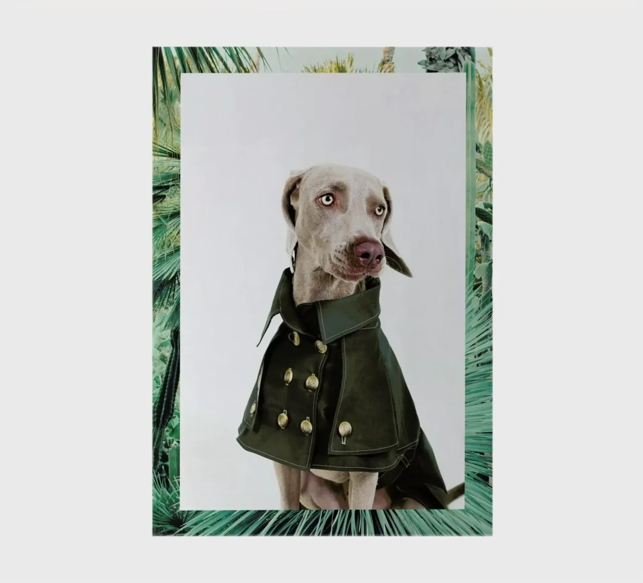 The Tailwaggers 2-3 notebook by Paul Aidan Perry