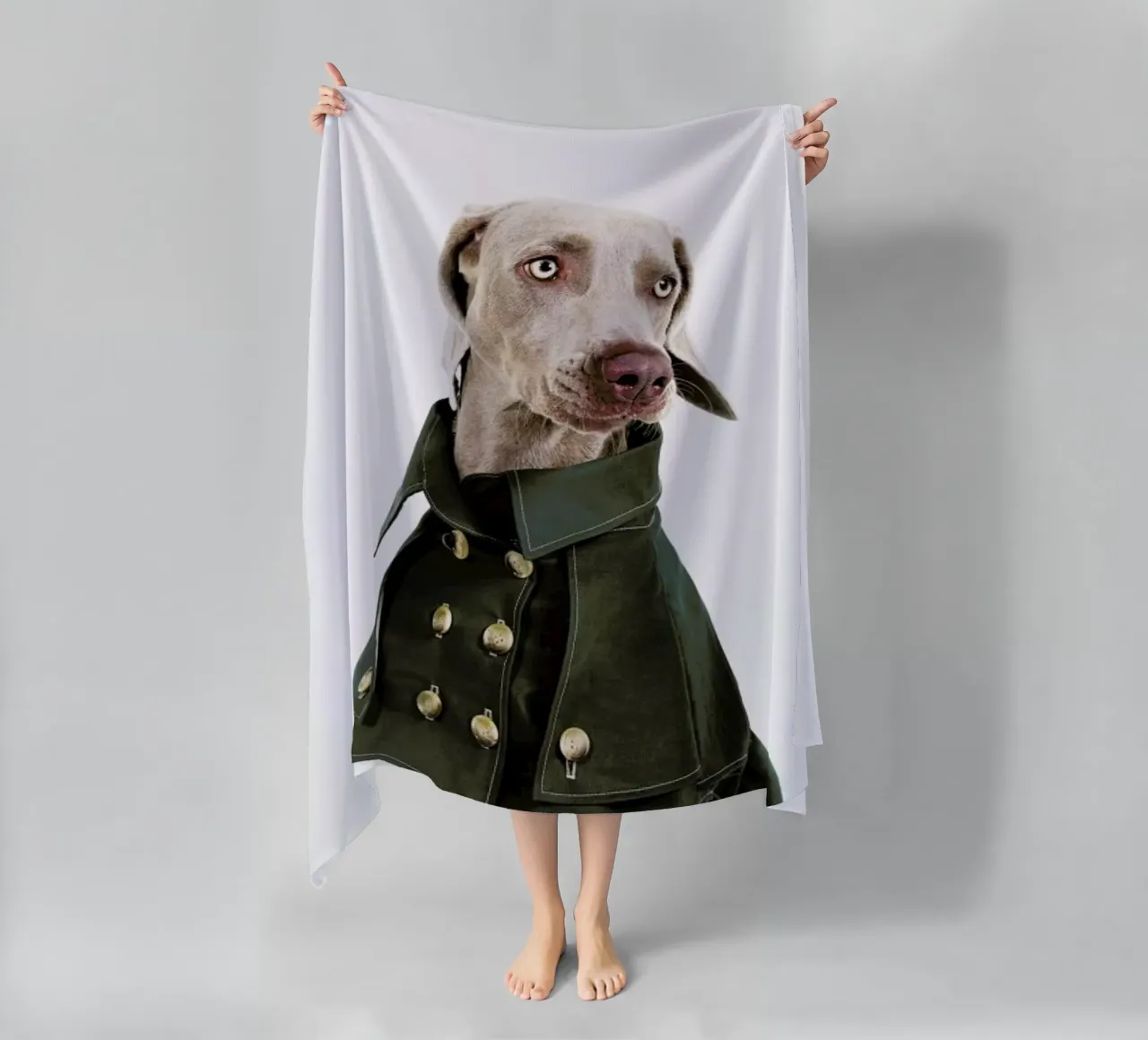 The Tailwaggers 2-3 telo mare da Paul Aidan Perry