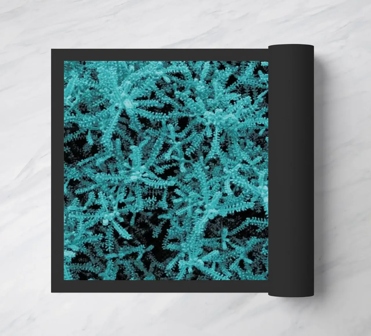 Crazy Plant zerbino da Sebastian Hilgetag