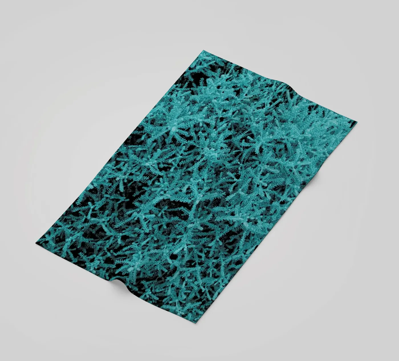 Crazy Plant telo mare da Sebastian Hilgetag