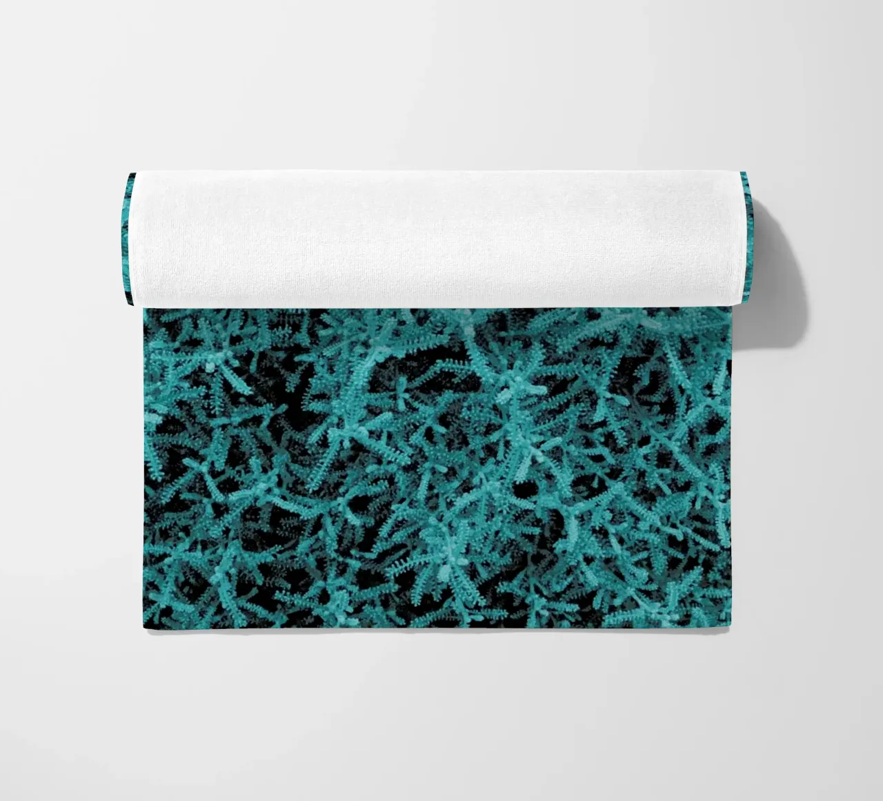 Crazy Plant telo mare da Sebastian Hilgetag