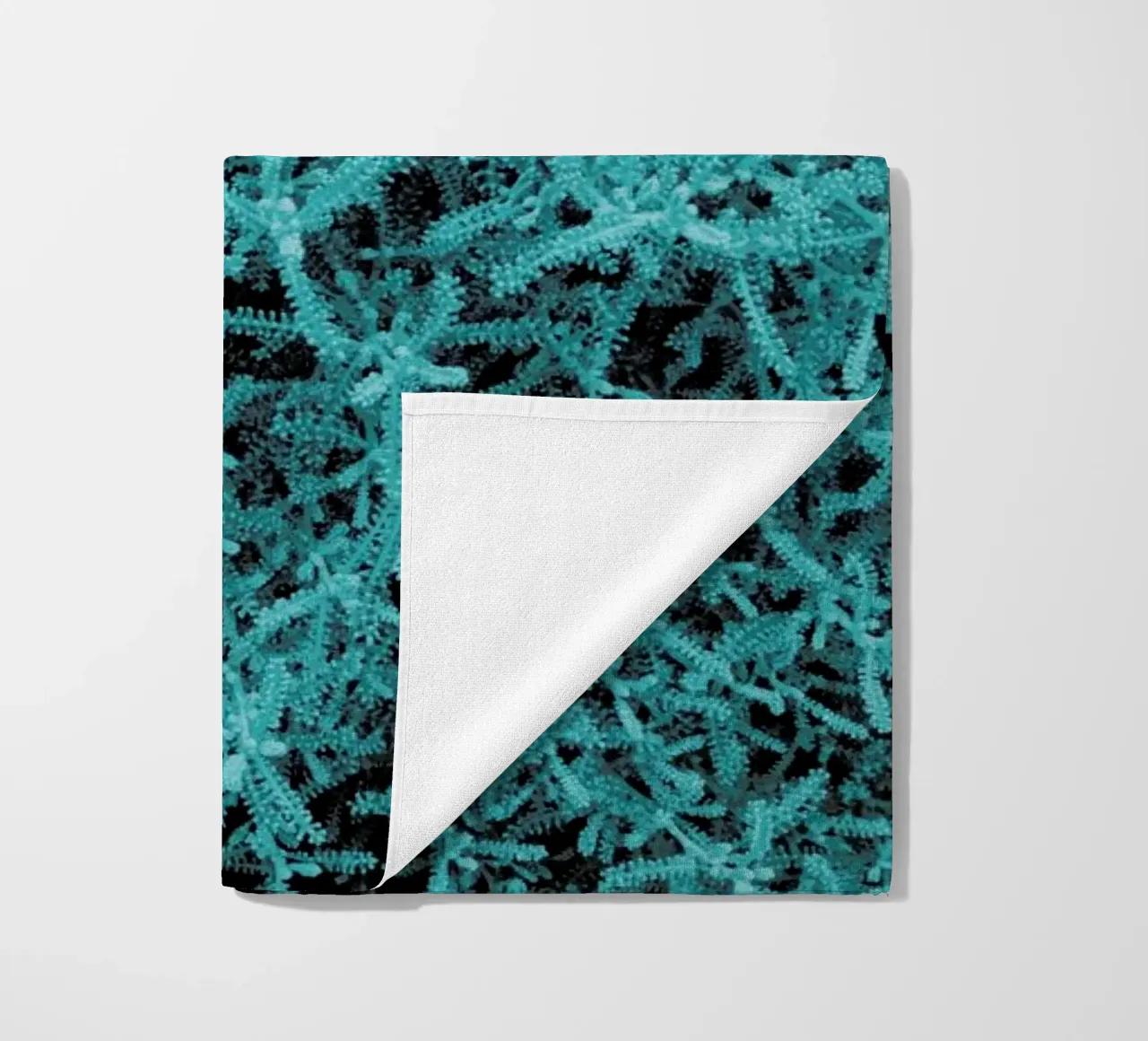 Crazy Plant telo mare da Sebastian Hilgetag