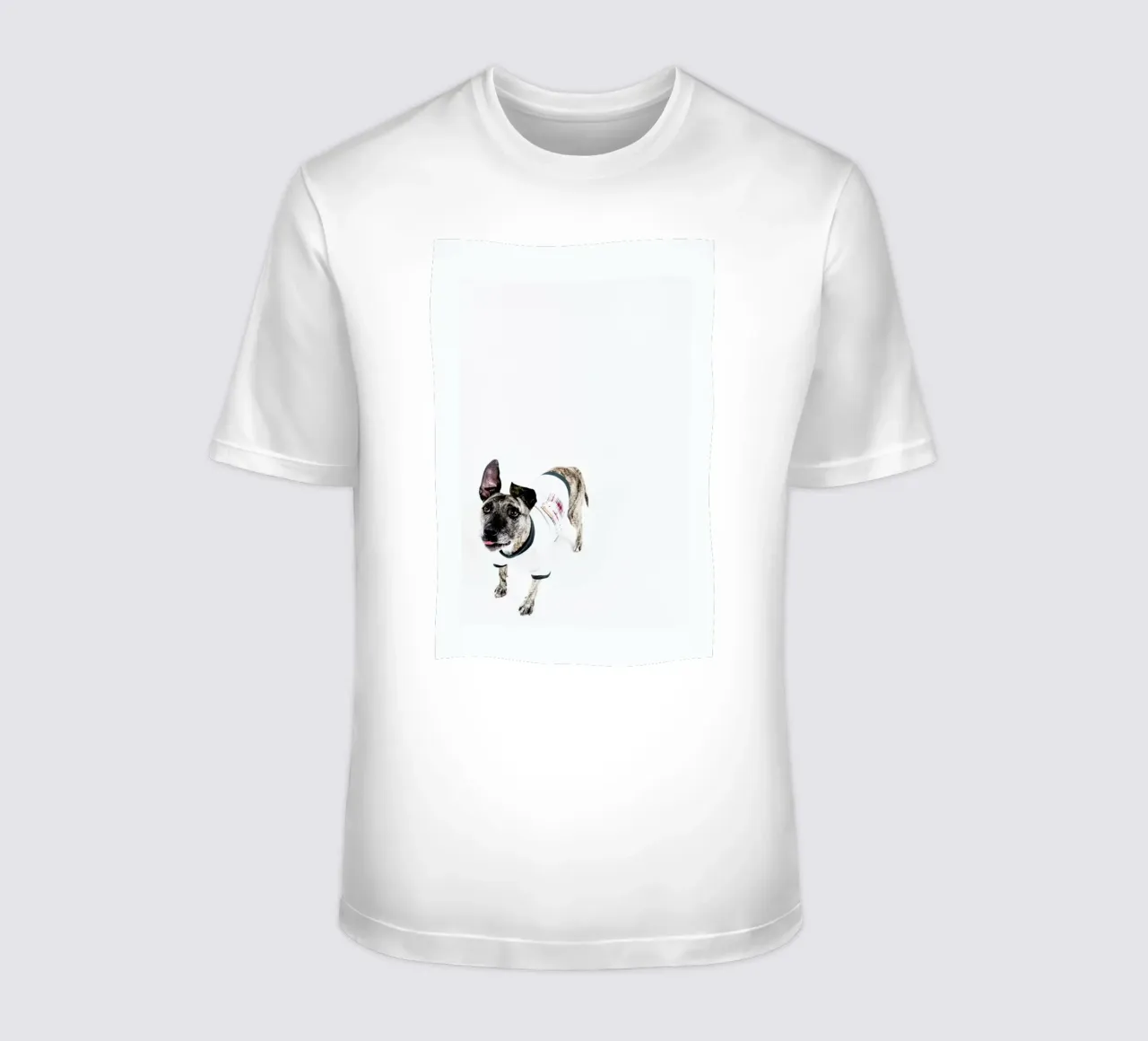 The Tailwaggers 5-2 t-shirt da Paul Aidan Perry