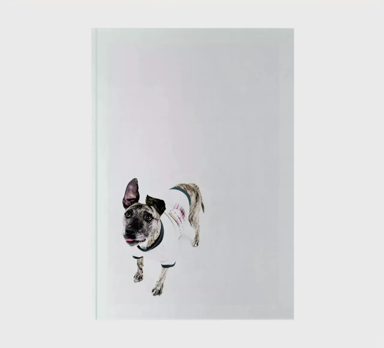 The Tailwaggers 5-2 notebook by Paul Aidan Perry