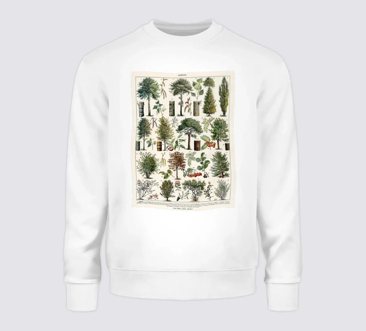 alberi botanici foglie frutti rami felpa da Graham Robertson