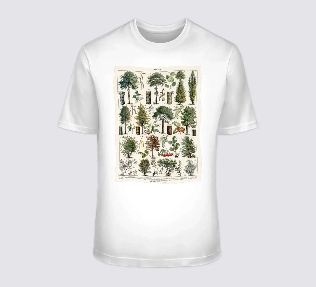 alberi botanici foglie frutti rami t-shirt da Graham Robertson