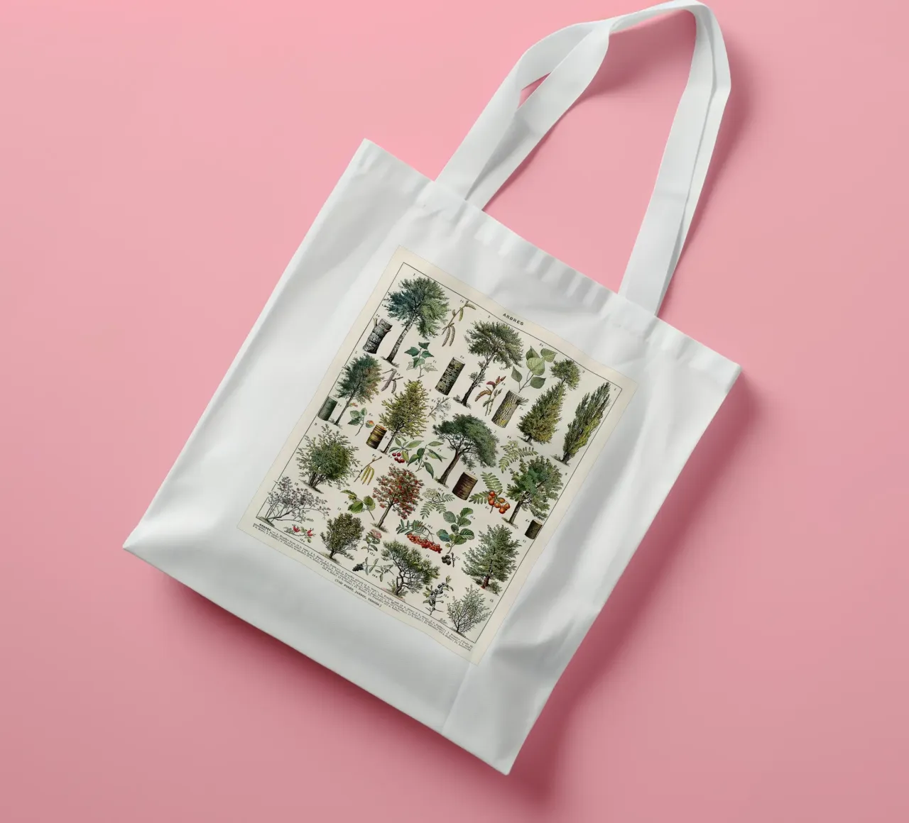 trees botanical leaves fruits branches tote bag by Graham Robertson