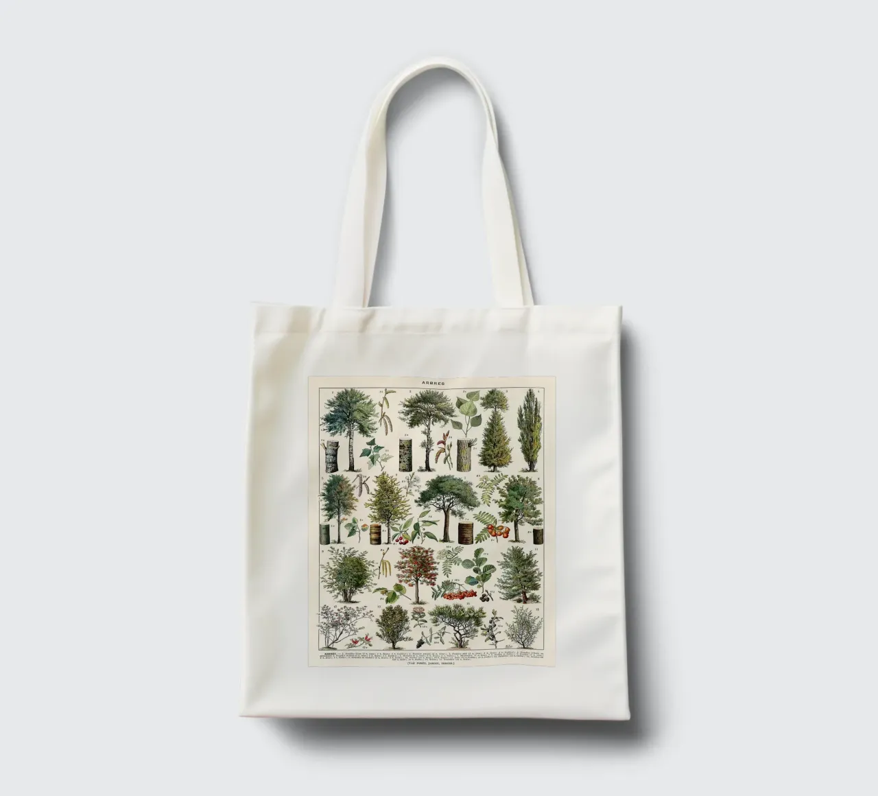 trees botanical leaves fruits branches tote bag by Graham Robertson