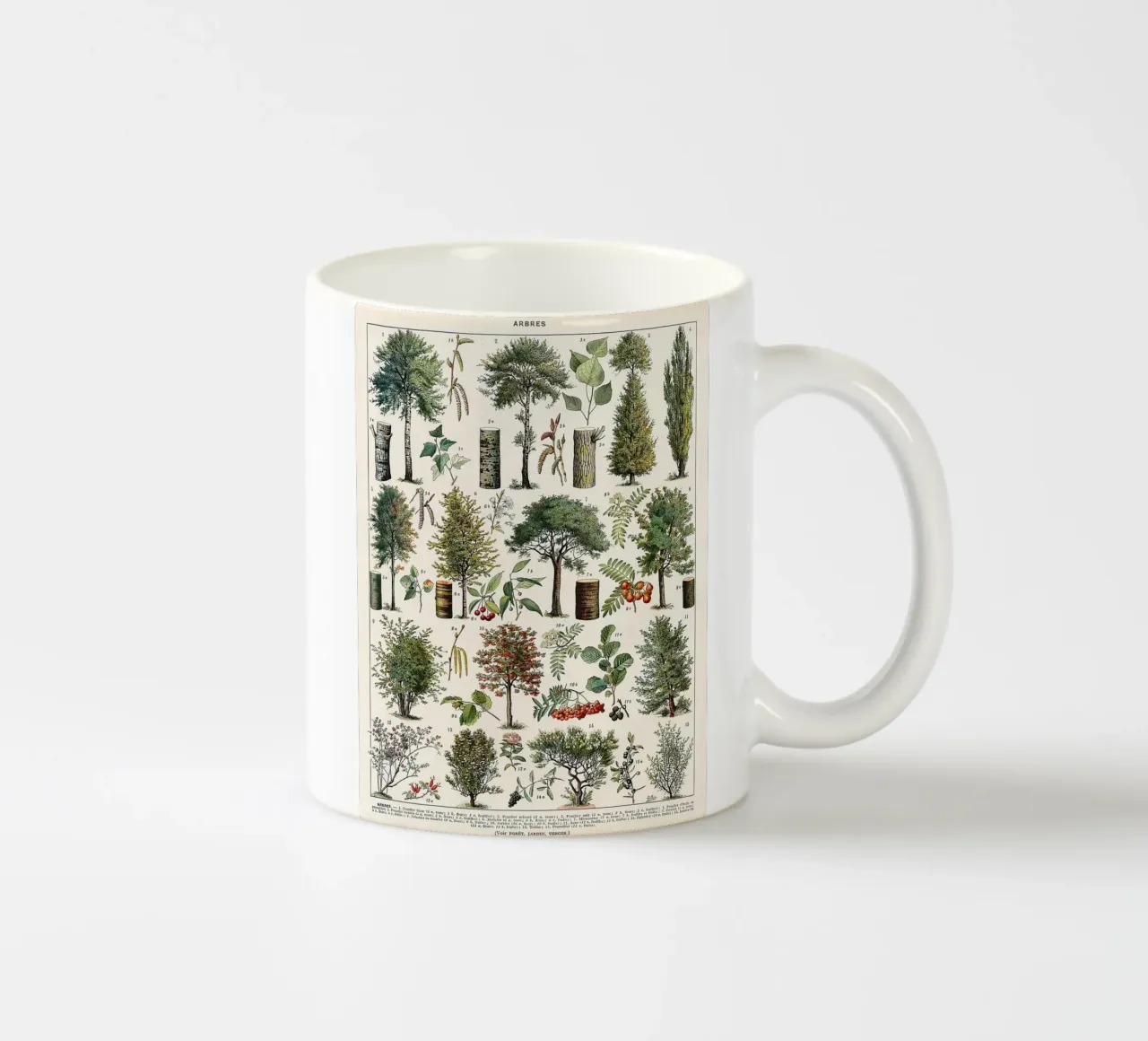 alberi botanici foglie frutti rami tazza in ceramica da Graham Robertson
