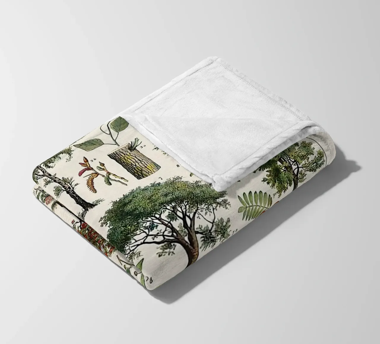 alberi botanici foglie frutti rami coperta in pile da Graham Robertson