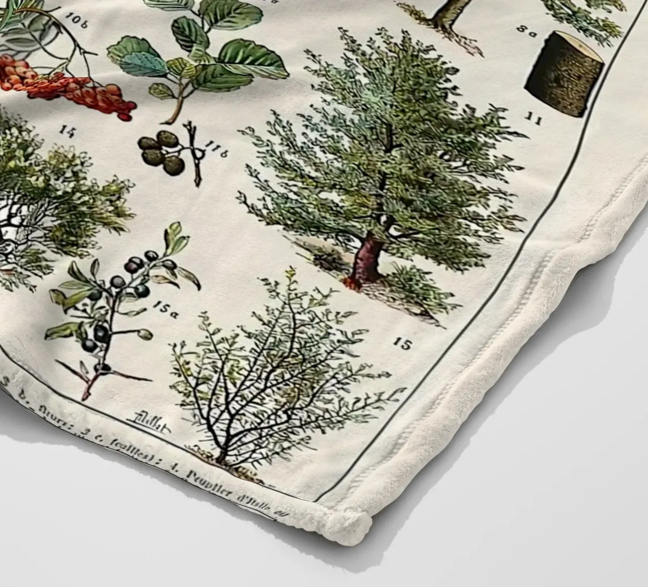 alberi botanici foglie frutti rami coperta in pile da Graham Robertson