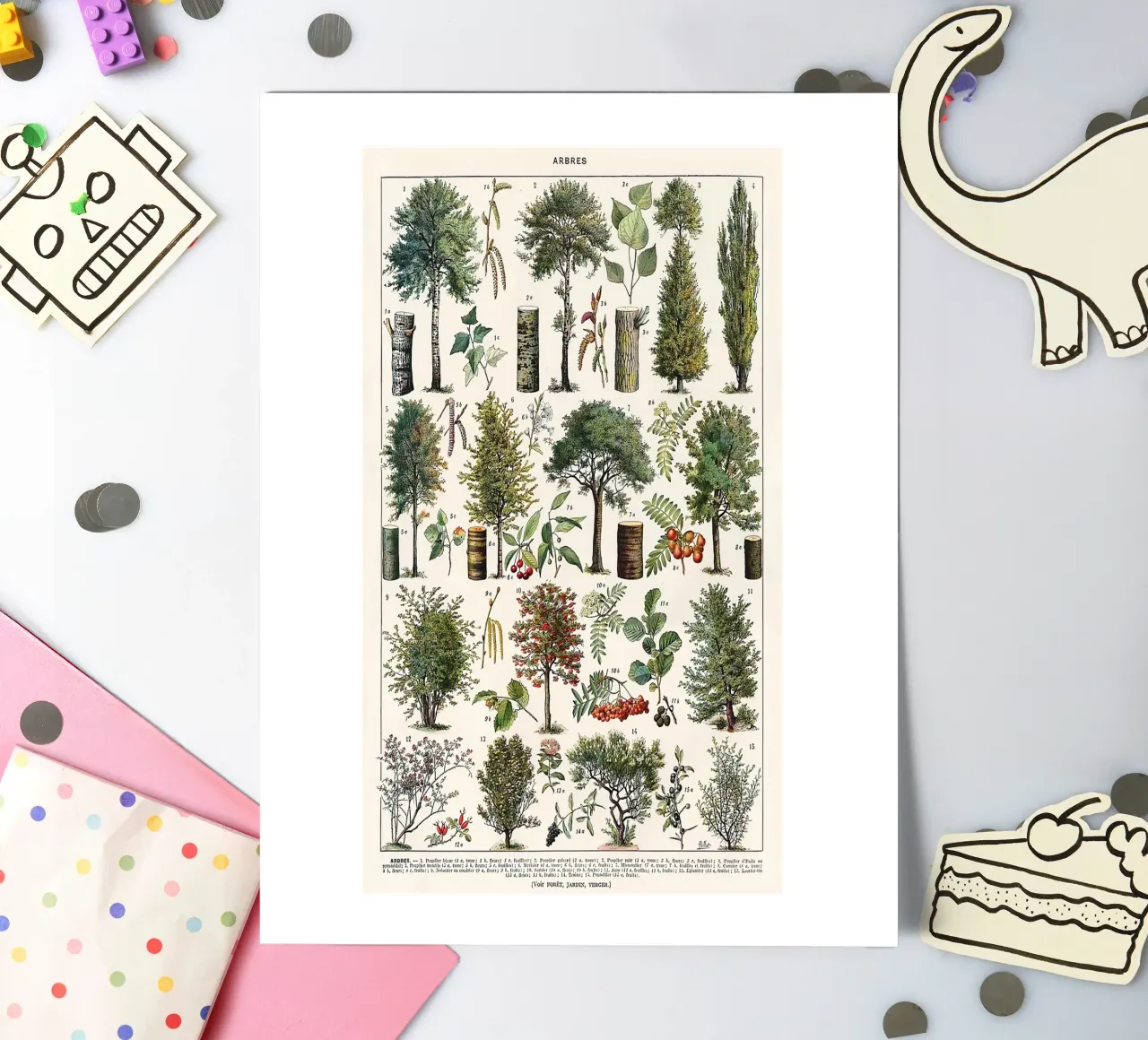 Bäume botanisch Blätter Früchte Äste Stickerbogen von Graham Robertson