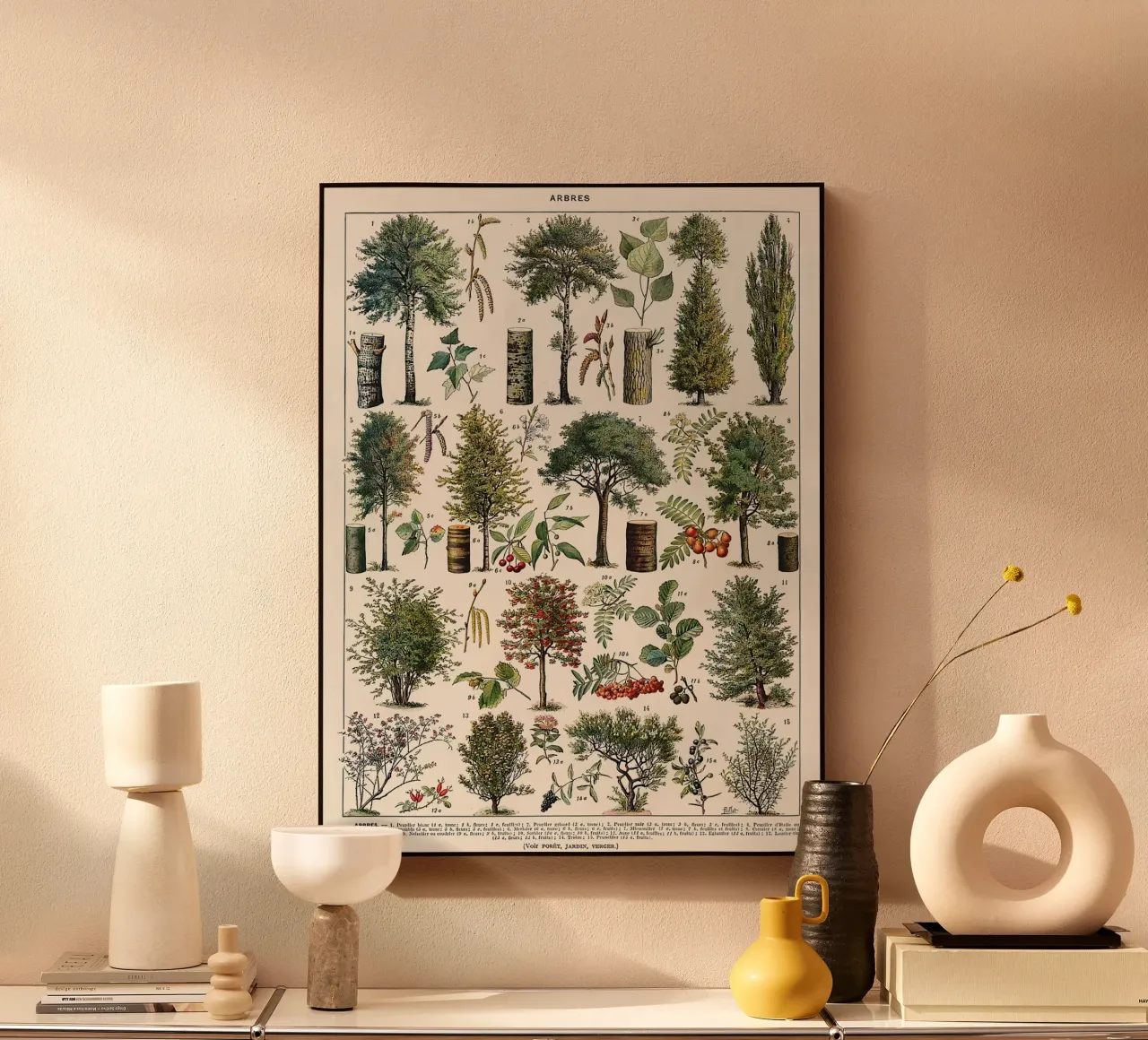 alberi botanici foglie frutti rami plexiglass da Graham Robertson