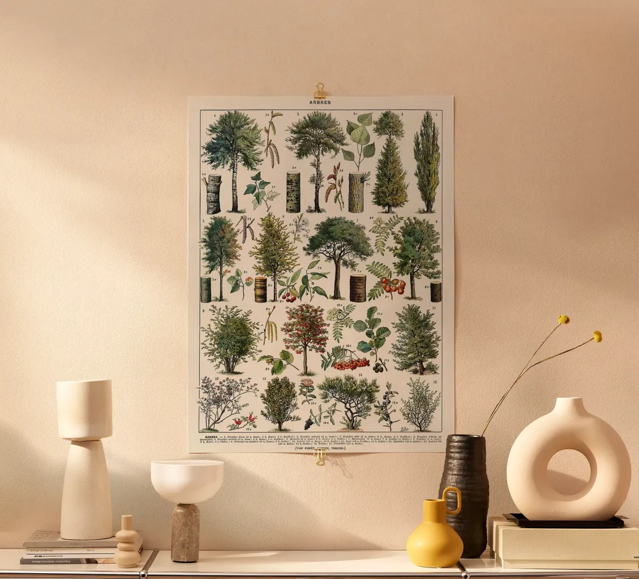alberi botanici foglie frutti rami carta hahnemühle da Graham Robertson