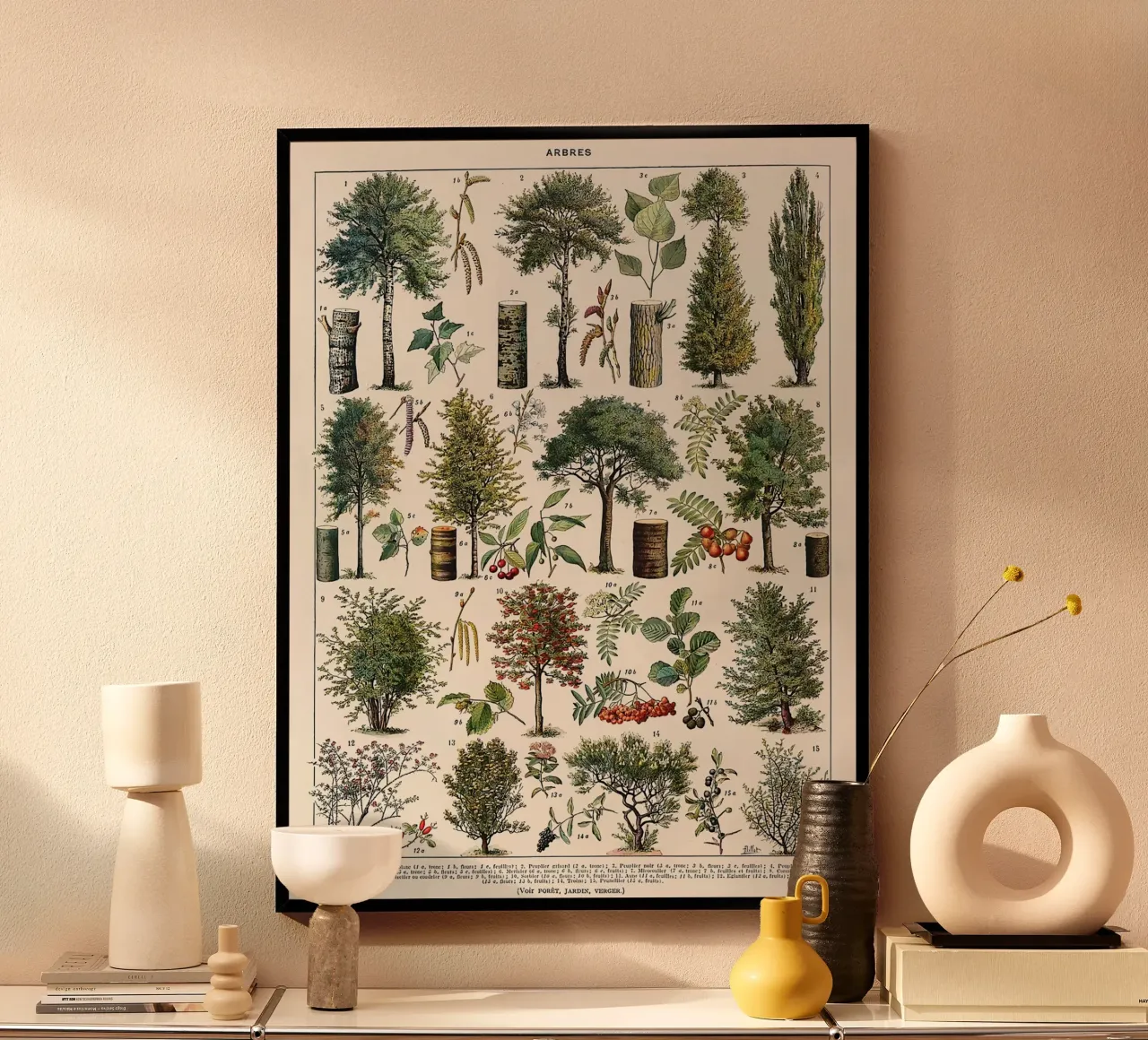 alberi botanici foglie frutti rami carta hahnemühle da Graham Robertson