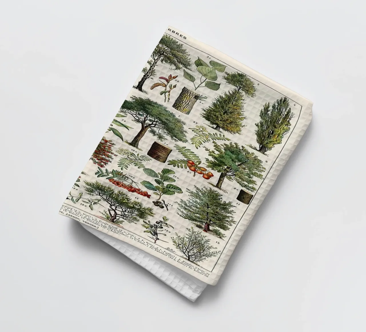 alberi botanici foglie frutti rami canovaccio da cucina da Graham Robertson