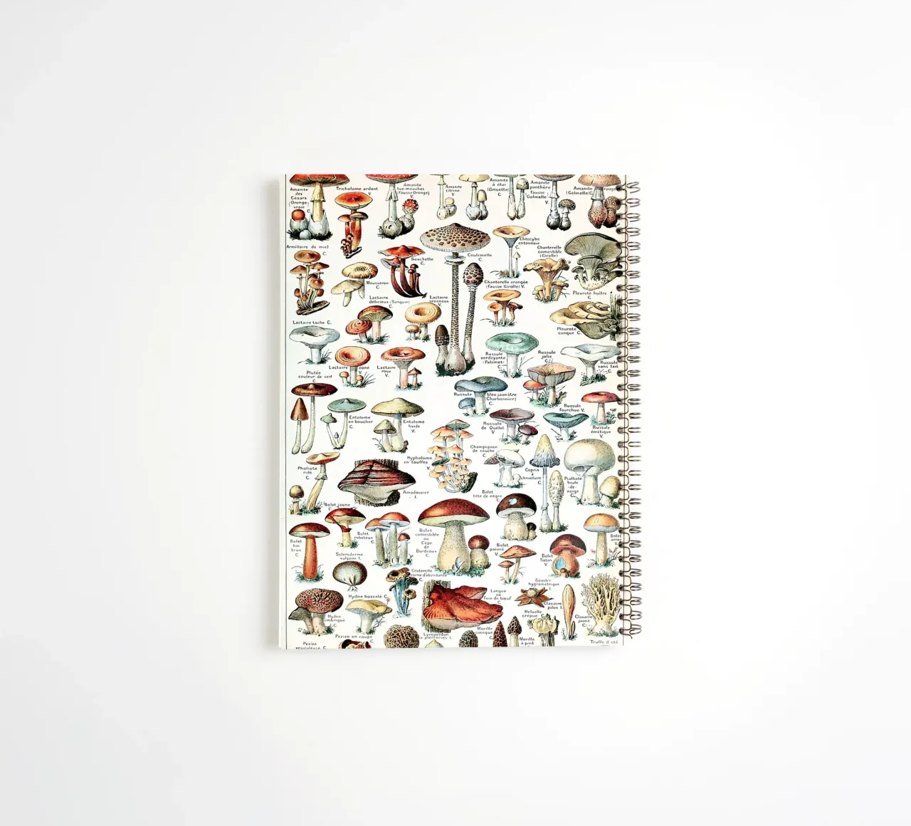 mushrooms fungi trumpet shaped mushroom spiral notebook by Graham Robertson