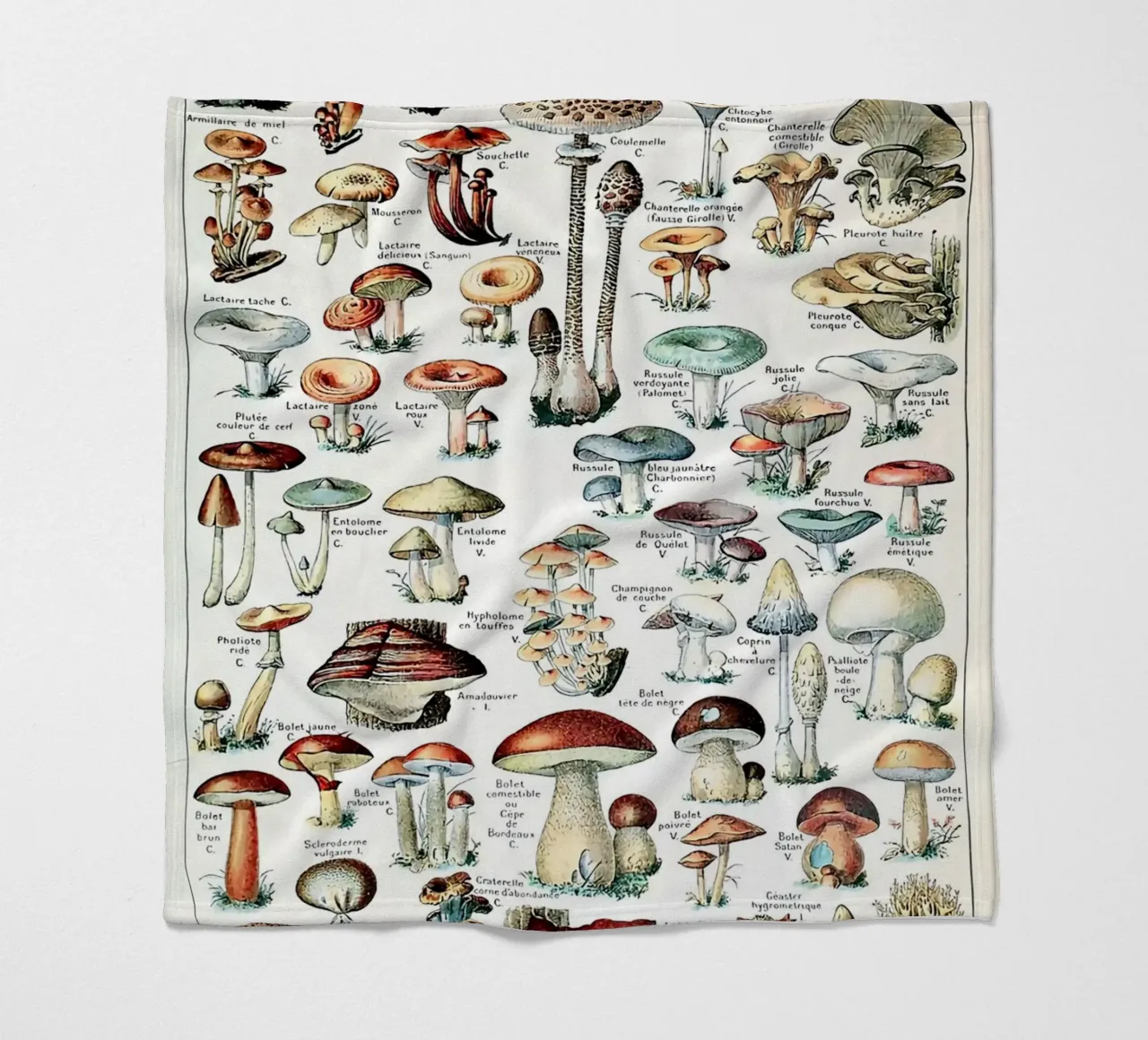 funghi funghi a trombetta coperta in pile da Graham Robertson