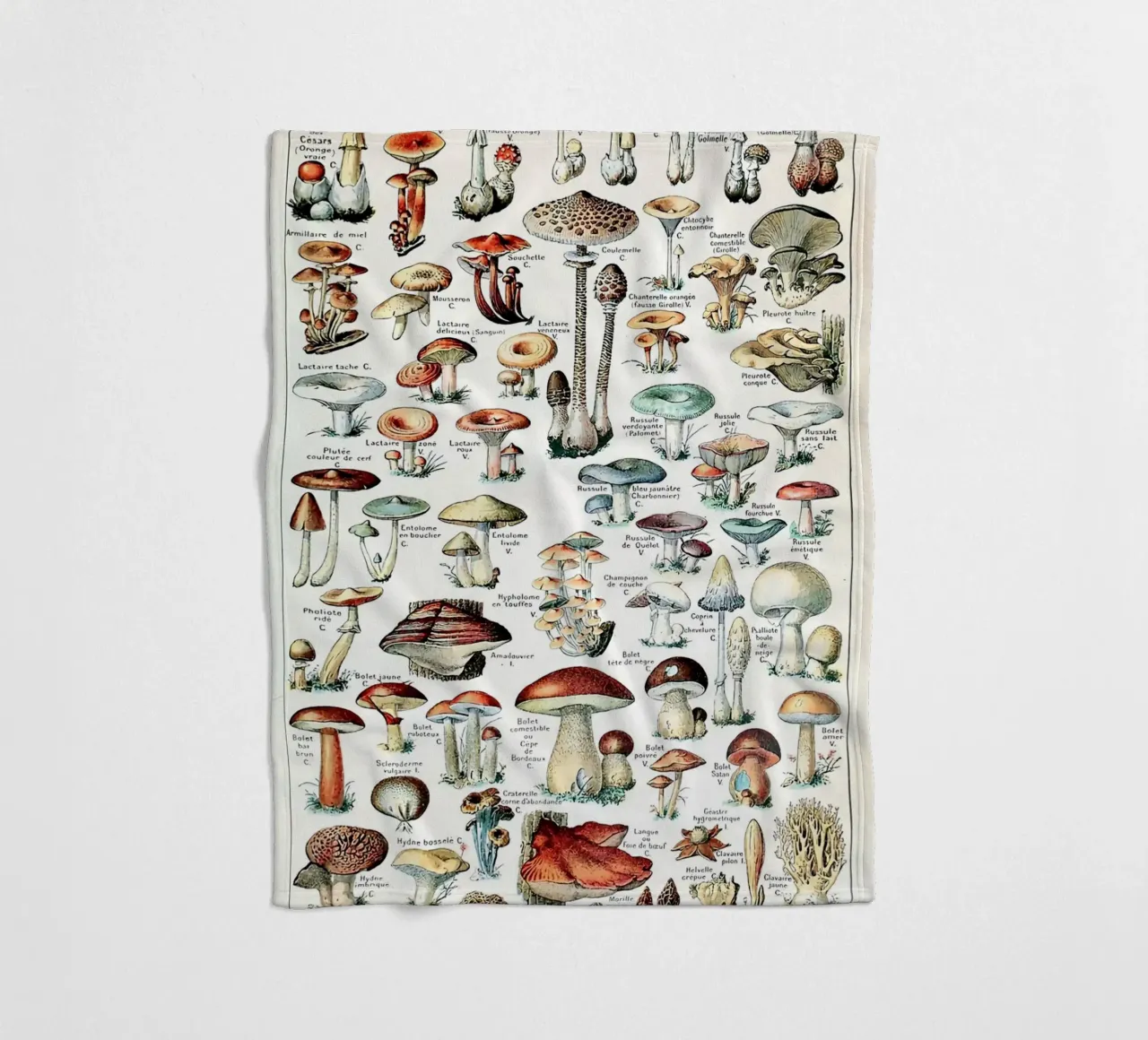 funghi funghi a trombetta coperta in pile da Graham Robertson