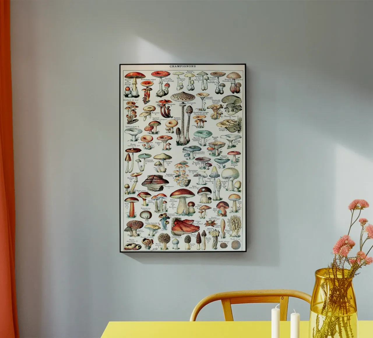 mushrooms fungi trumpet shaped mushroom acrylic glass by Graham Robertson