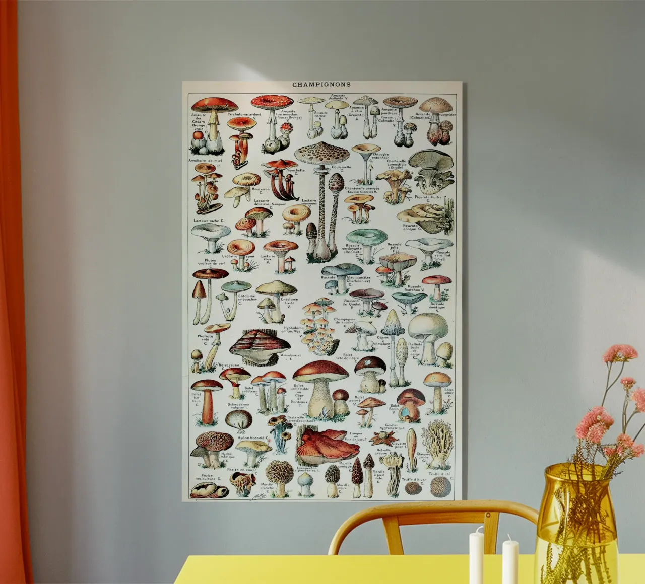 mushrooms fungi trumpet shaped mushroom acrylic glass by Graham Robertson