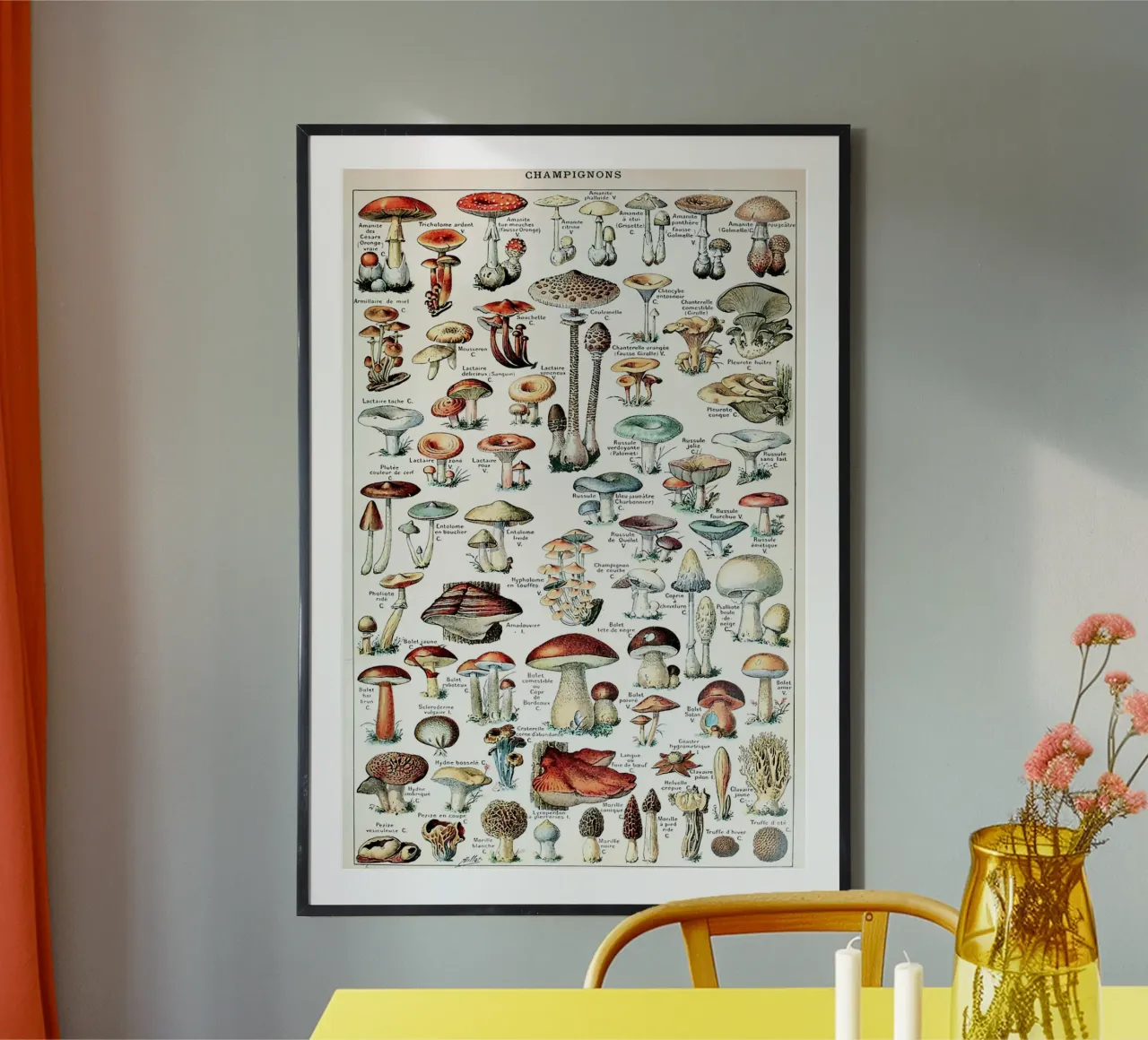 funghi funghi a trombetta carta hahnemühle da Graham Robertson