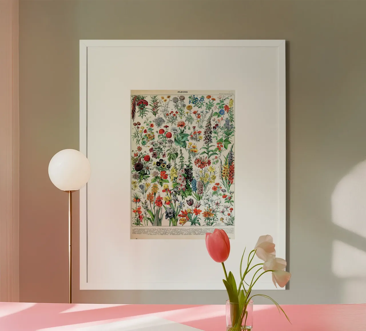 fiori botanica natura floreale poster con telaio in alluminio da Graham Robertson