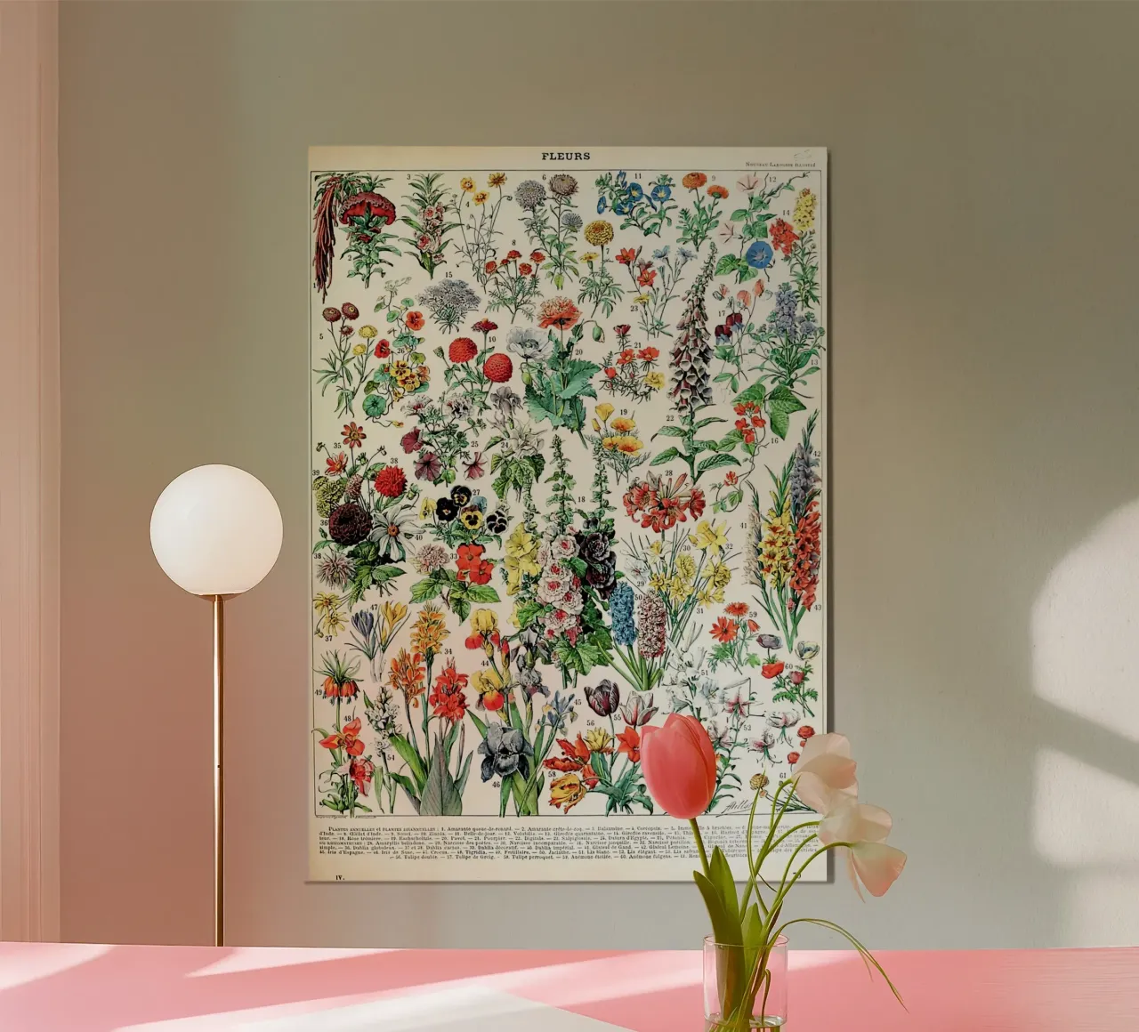 fiori botanica natura floreale poster con telaio in alluminio da Graham Robertson
