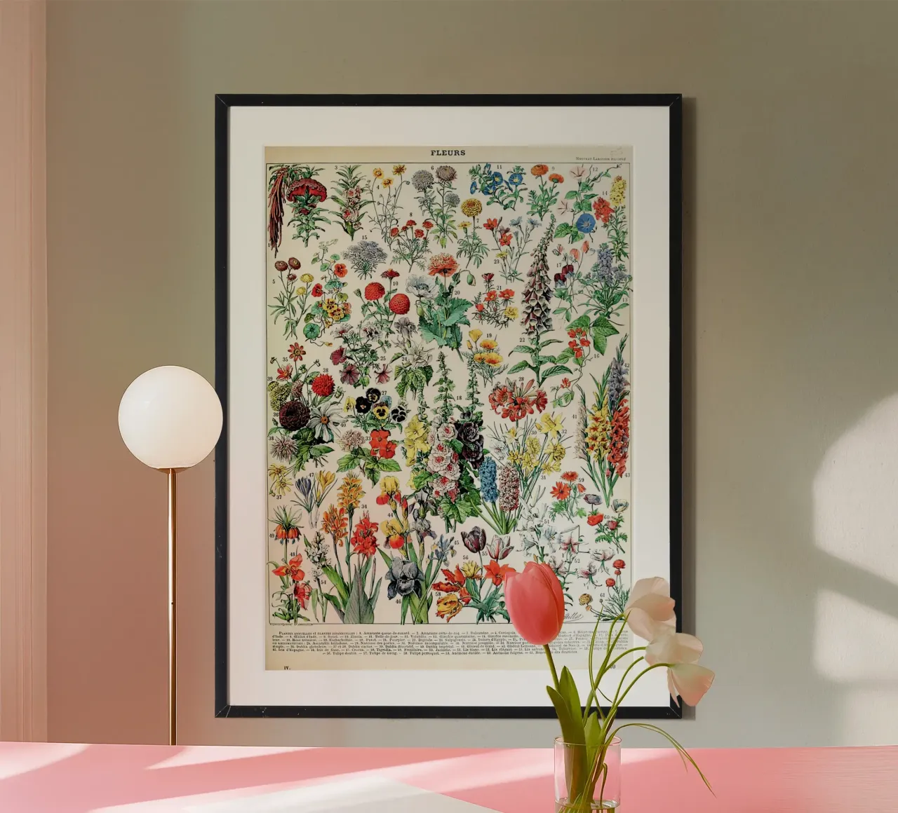 fiori botanica natura floreale poster con telaio in alluminio da Graham Robertson