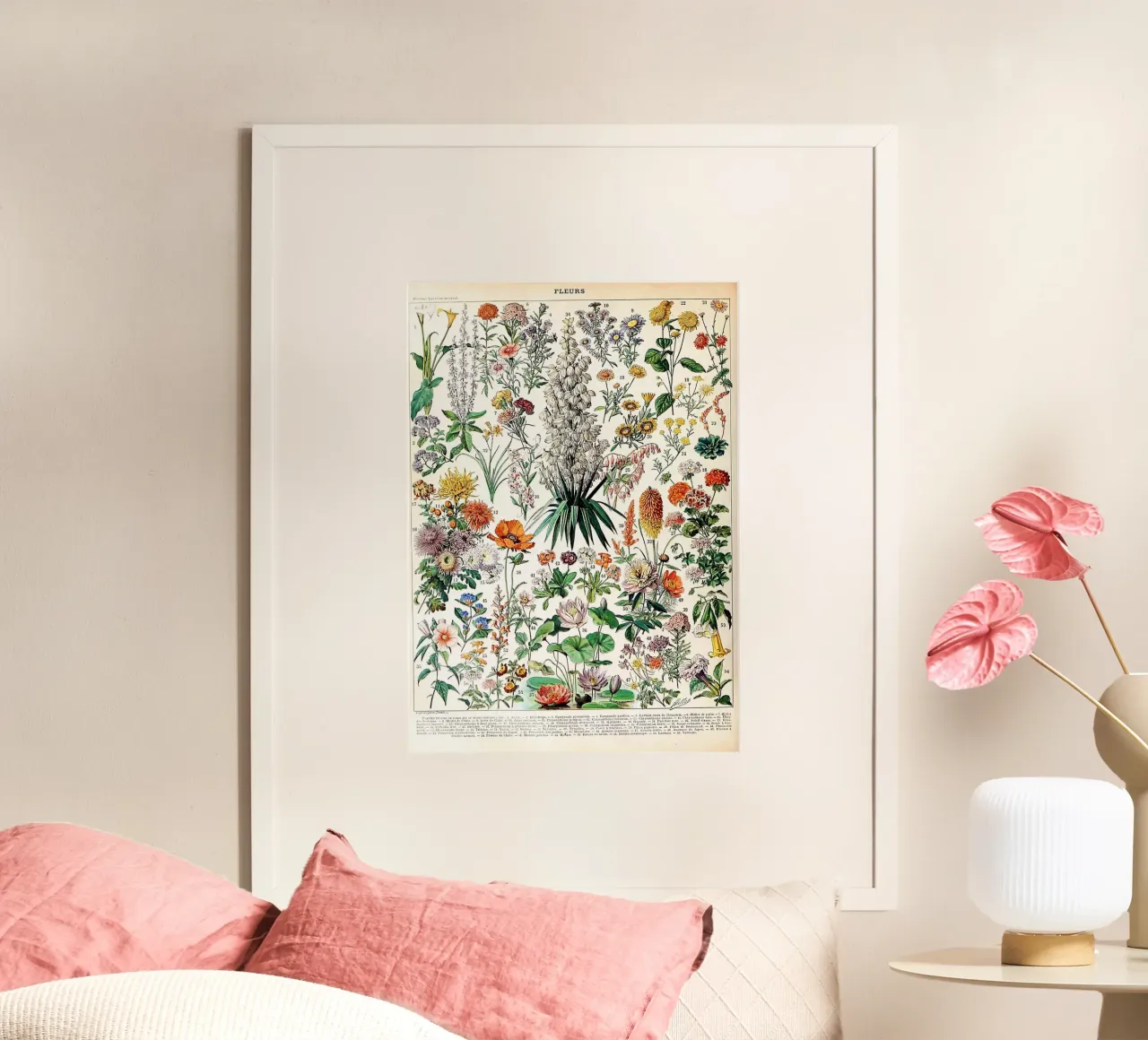 fiori illustrazione botanica specie vegetali poster con telaio in plastica da Graham Robertson