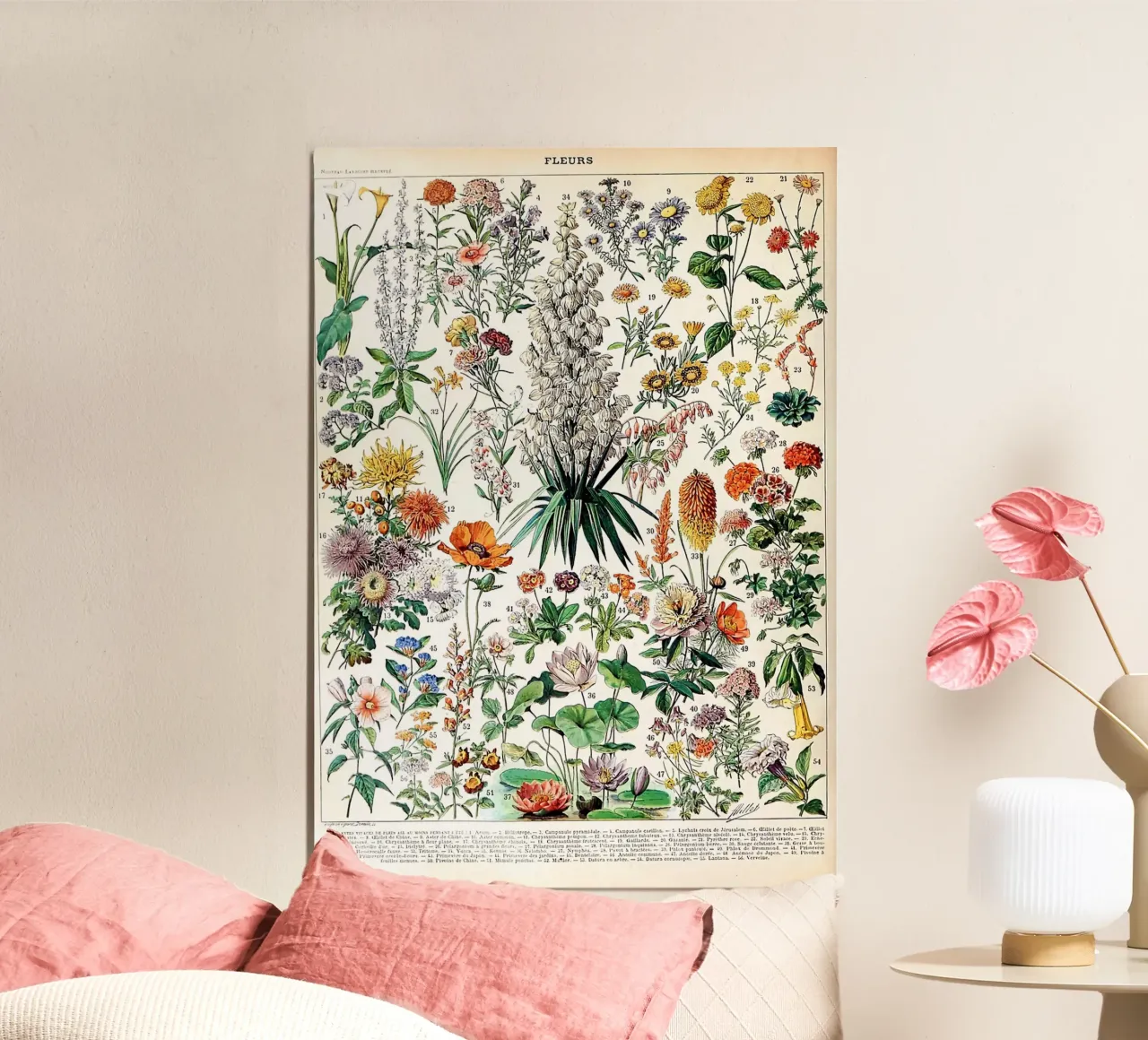 fiori illustrazione botanica specie vegetali poster con telaio in plastica da Graham Robertson