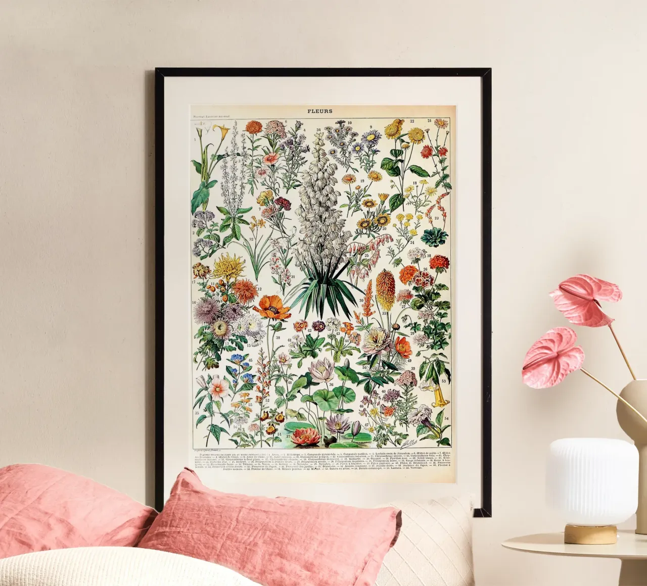 fiori illustrazione botanica specie vegetali poster con telaio in plastica da Graham Robertson