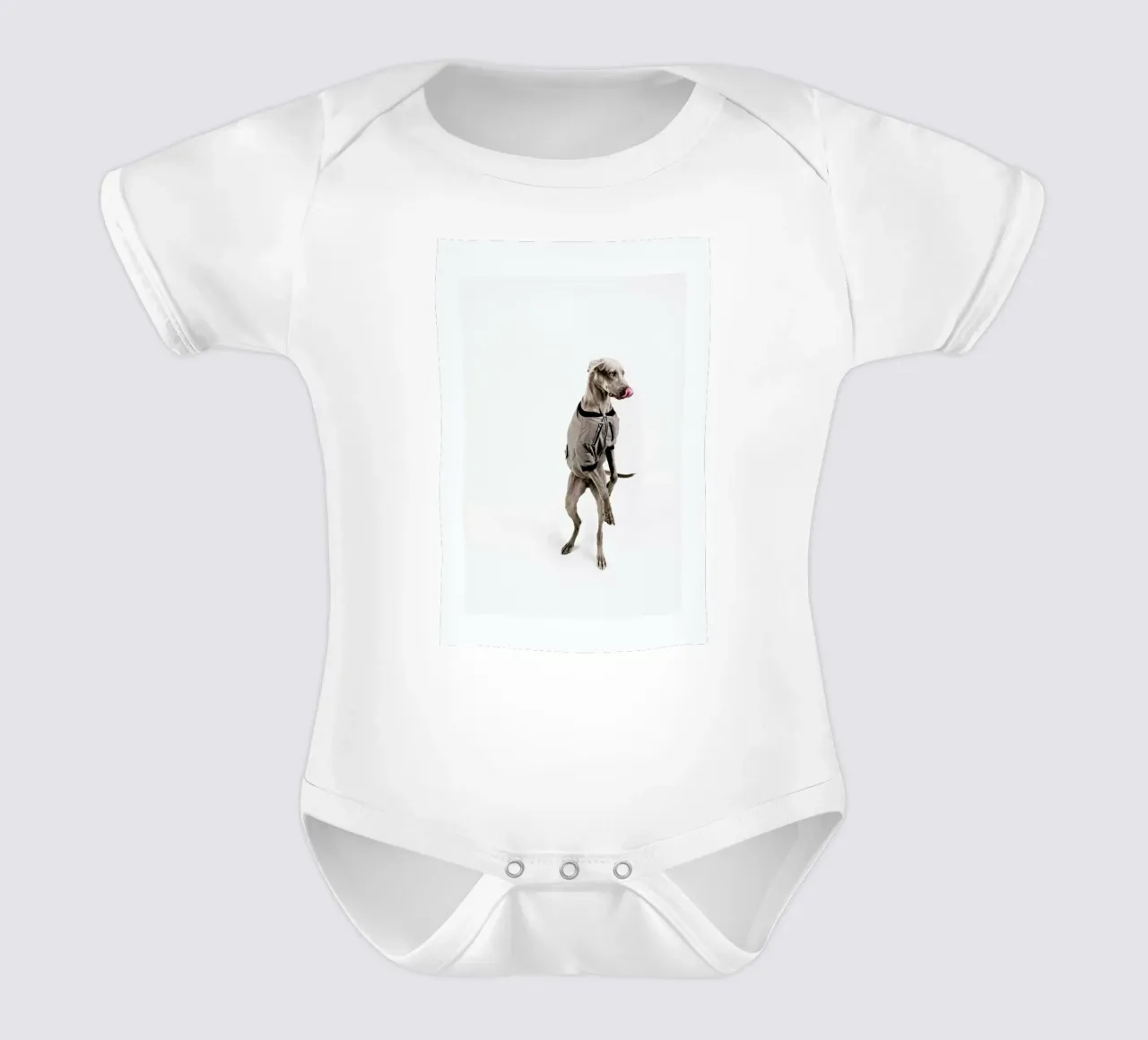 The Tailwaggers 6-2 short-sleeve baby romper by Paul Aidan Perry