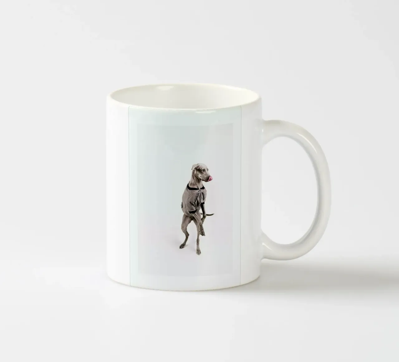 The Tailwaggers 6-2 tazza in ceramica da Paul Aidan Perry