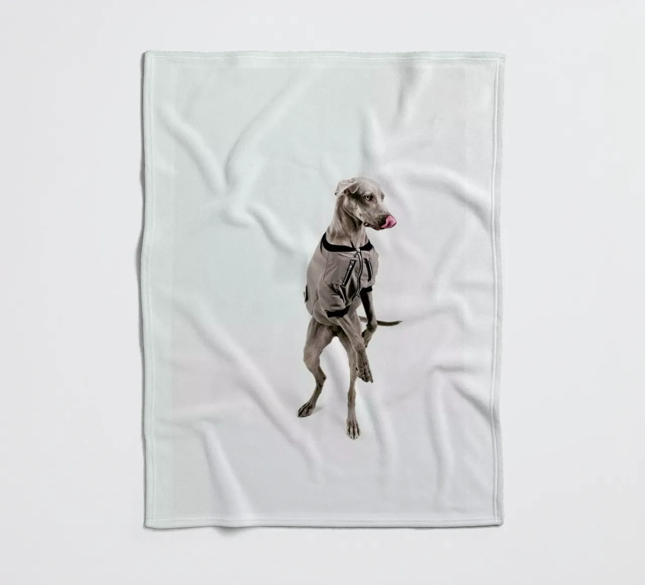 The Tailwaggers 6-2 coperta in pile da Paul Aidan Perry