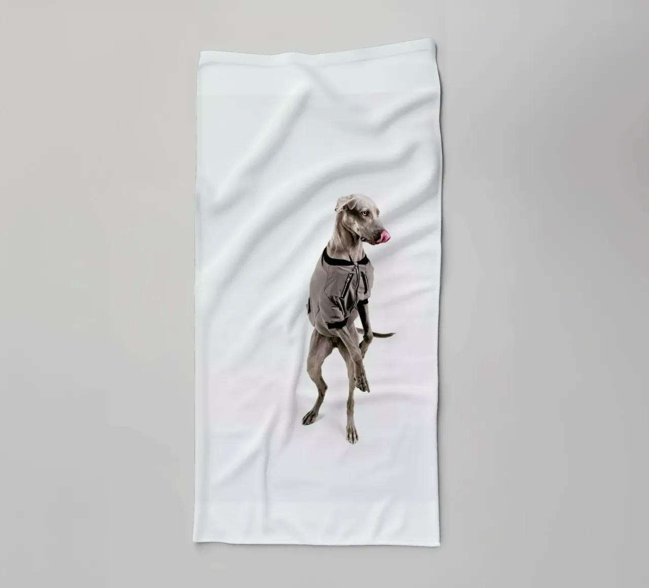 The Tailwaggers 6-2 asciugamano da bagno da Paul Aidan Perry