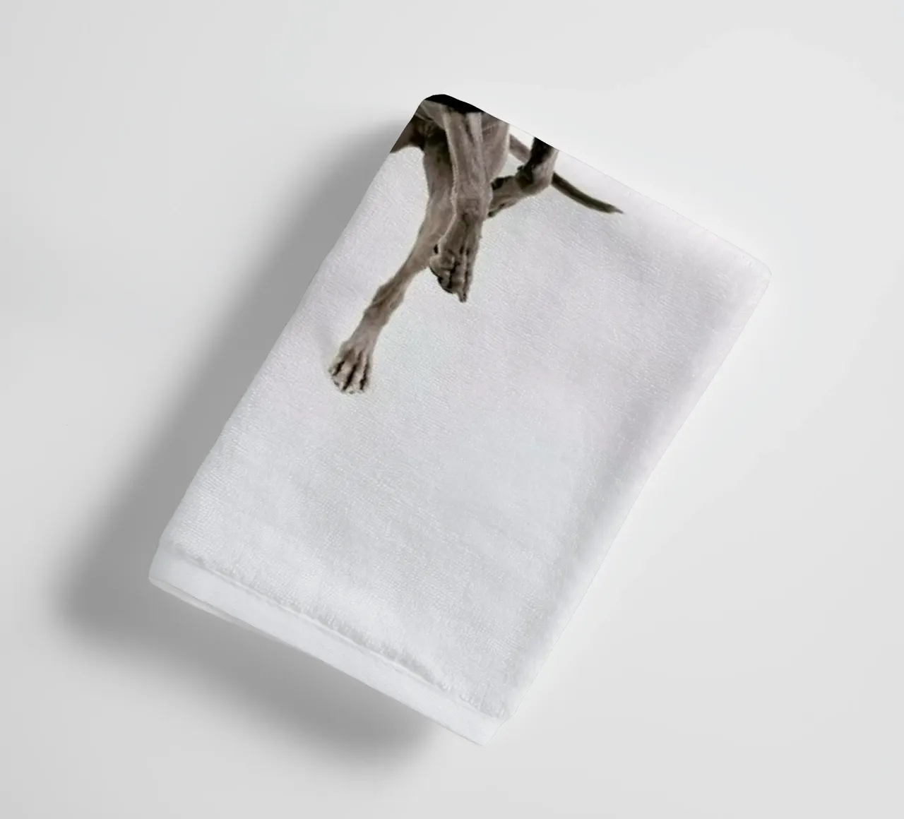 The Tailwaggers 6-2 asciugamano da bagno da Paul Aidan Perry