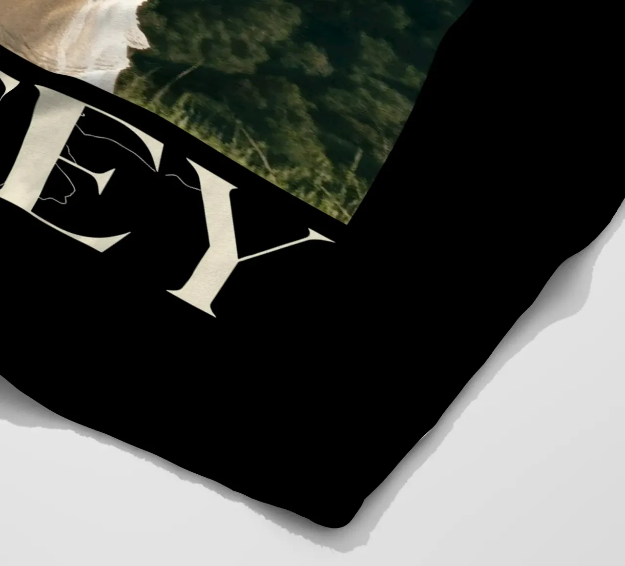 Laufey sull'amore Lfy V1 coperta in pile da carleemiller