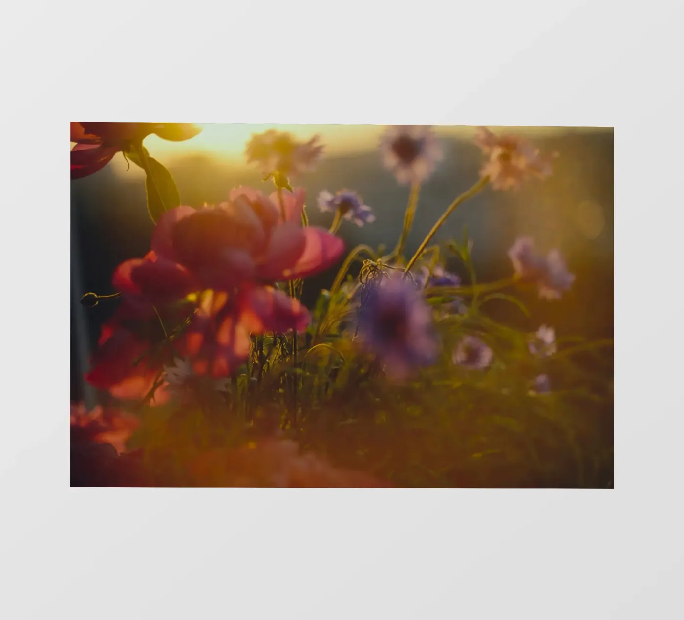 bloementuin fotobehang van Earthly Visions