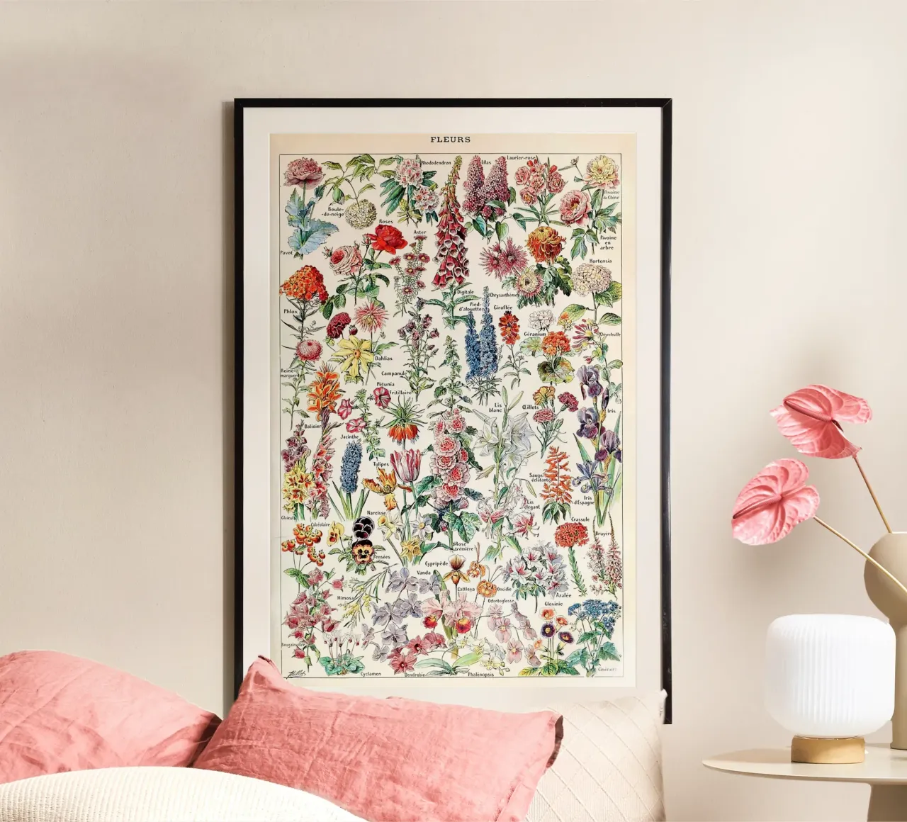 fiori illustrazione botanica varietà floreali poster da Graham Robertson