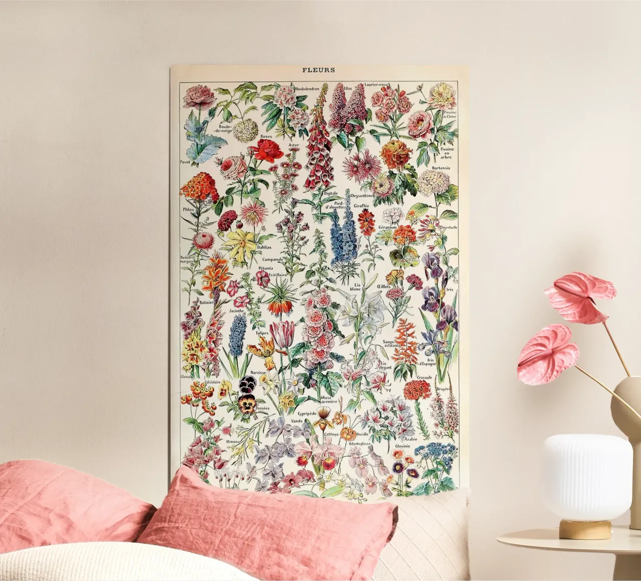 fiori illustrazione botanica varietà floreali poster da Graham Robertson