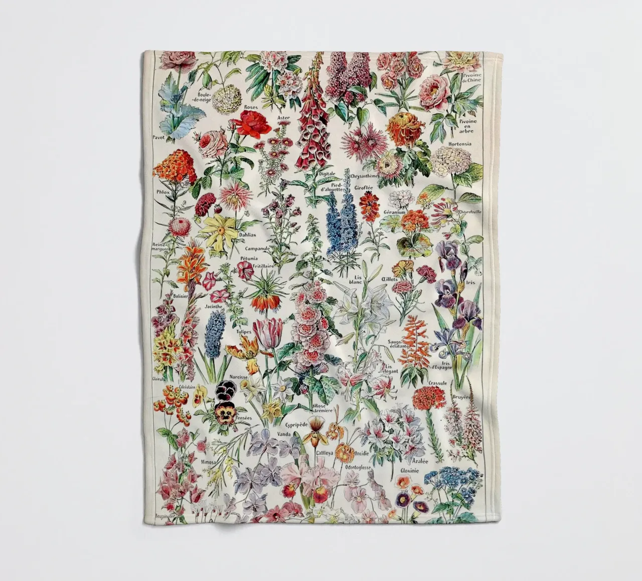 flowers botanical illustration floral varieties fleece blanket by Graham Robertson