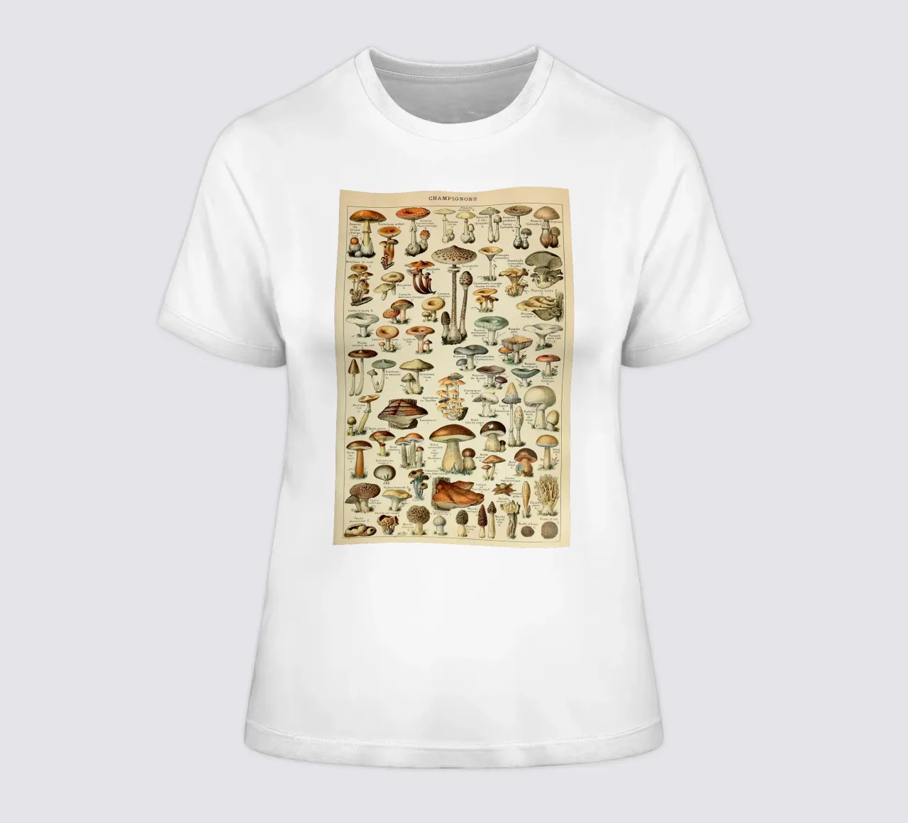 mushrooms fungi champignons amanita women's fitted t-shirt by Graham Robertson