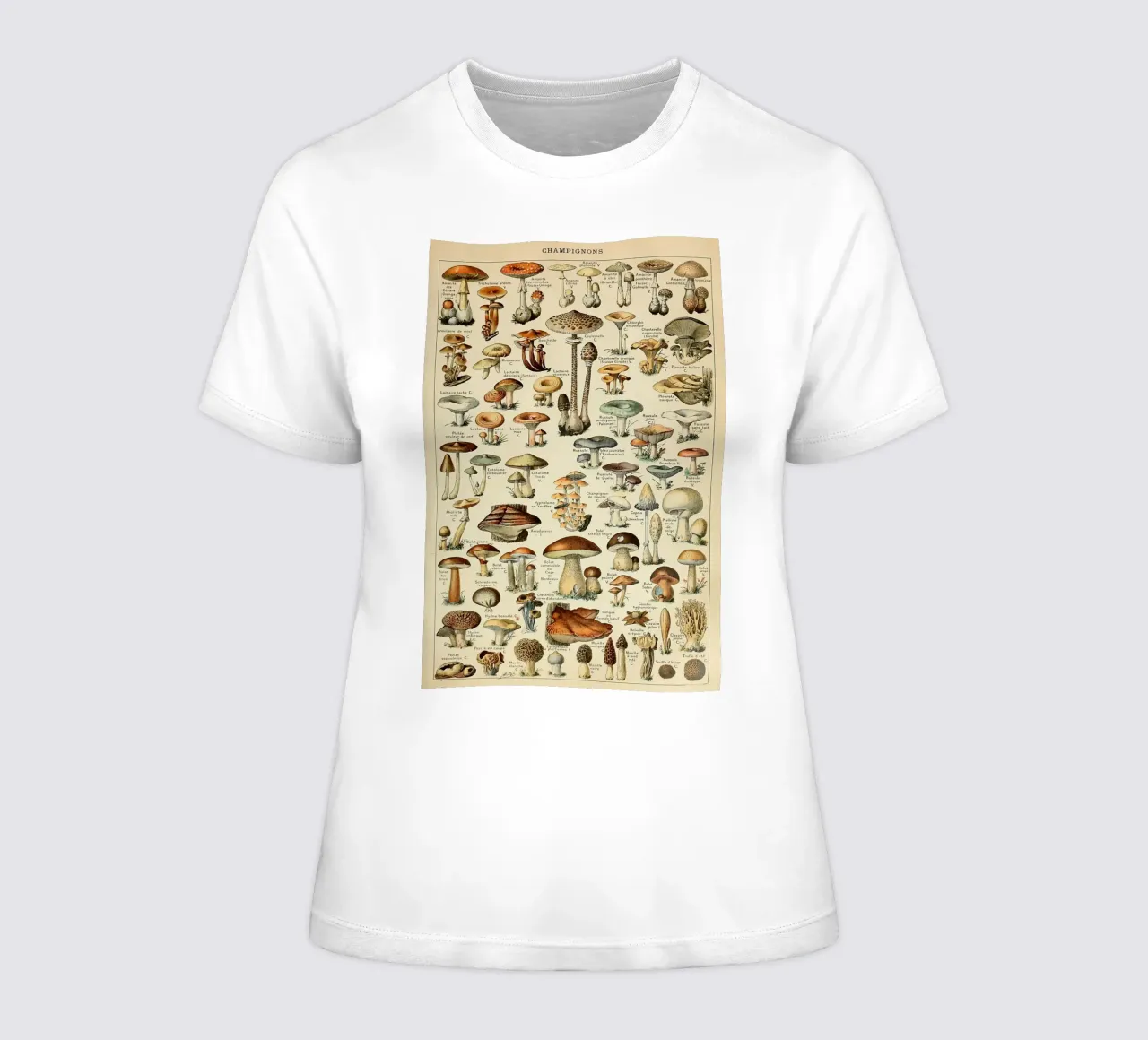 mushrooms fungi champignons amanita women's fitted t-shirt by Graham Robertson