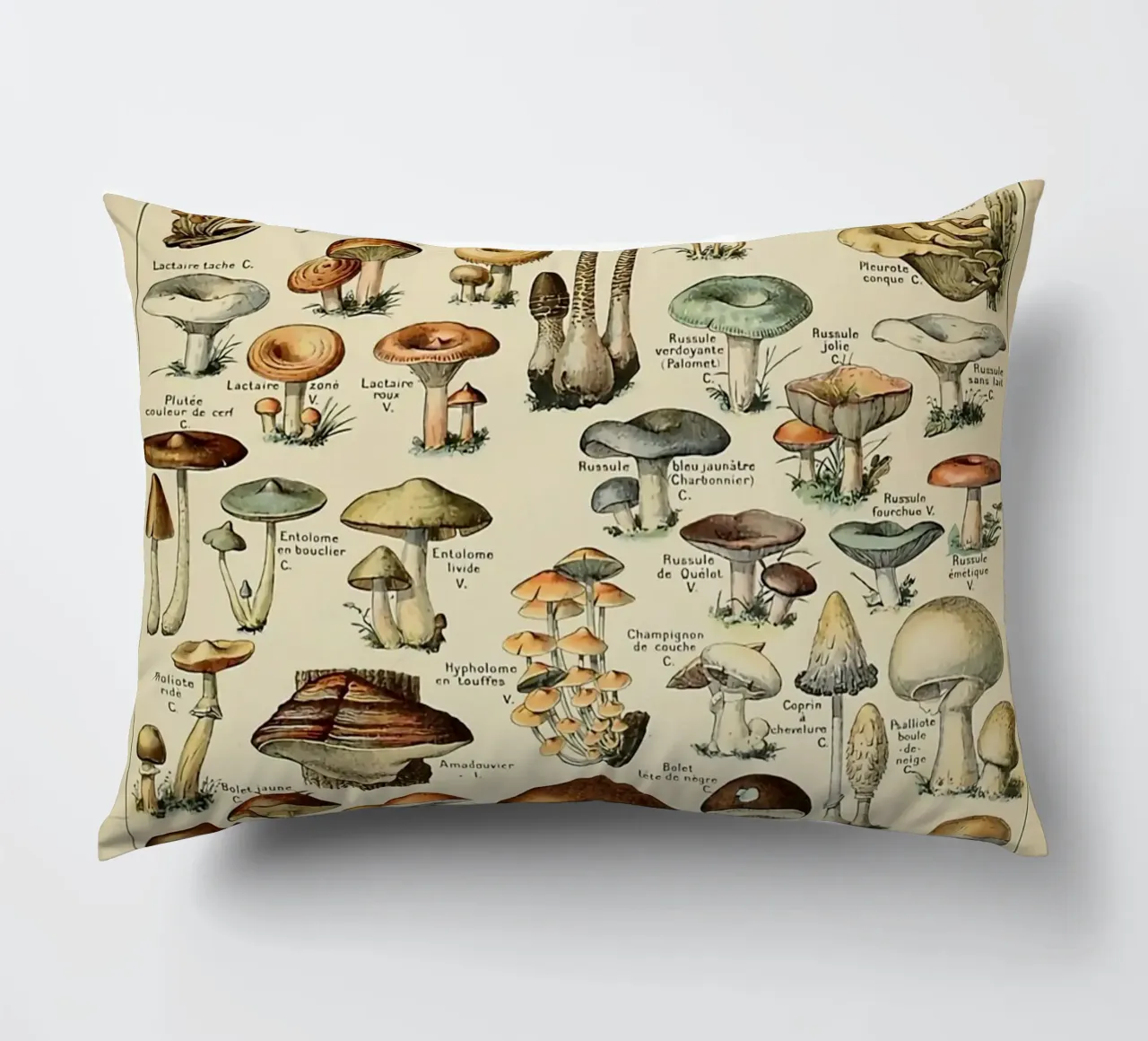 funghi champignon amanita cuscino da Graham Robertson