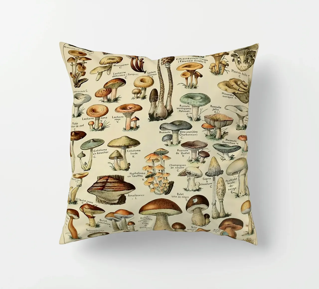 funghi champignon amanita cuscino da Graham Robertson