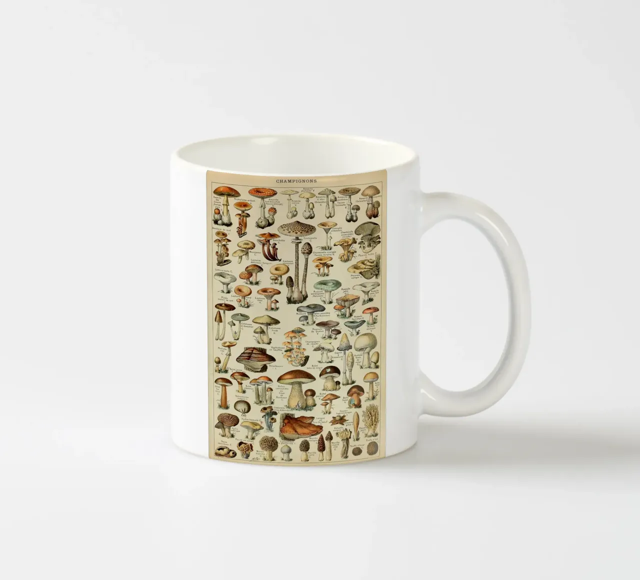 funghi champignon amanita tazza in ceramica da Graham Robertson