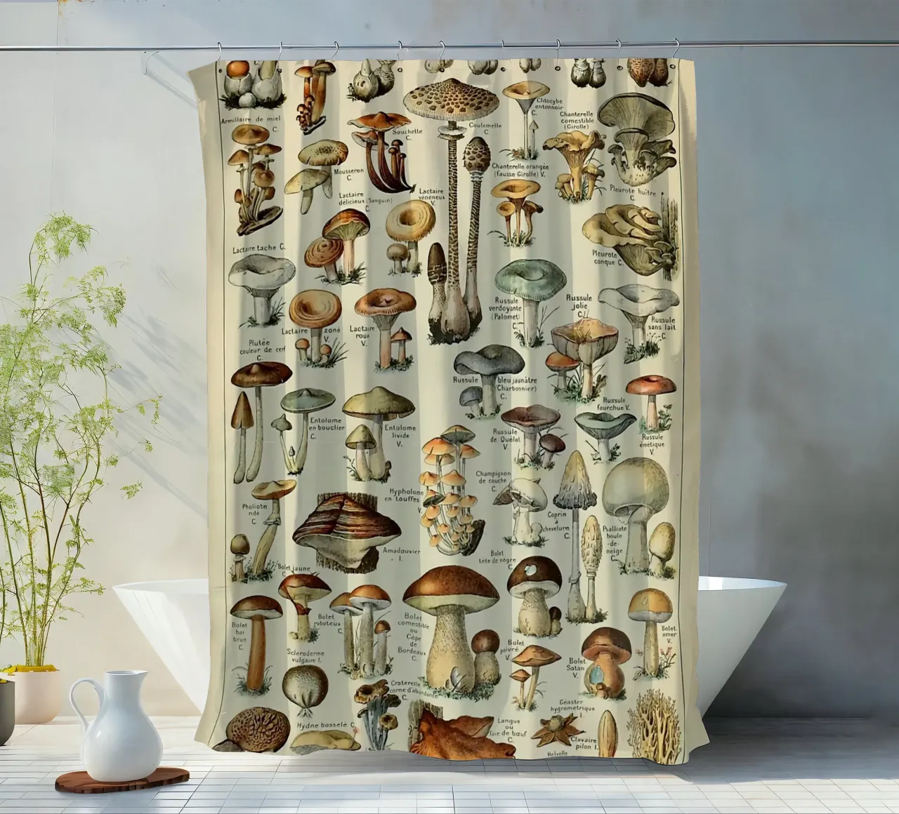 mushrooms fungi champignons amanita shower curtain by Graham Robertson